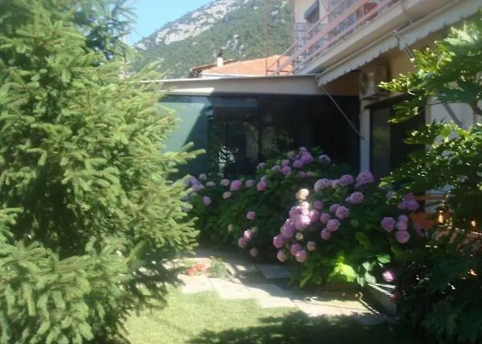 Ξενοδοχείο Dimitra